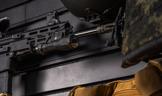 Best Compact Weapons for the INFORCE ARC 350 LR-M